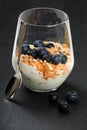 Dietetic breakfast - yoghurt with muesli and huckleberries Royalty Free Stock Photo