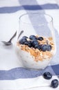 Dietetic breakfast - yoghurt with muesli and huckleberries Royalty Free Stock Photo