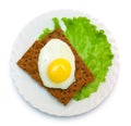 Dietetic lunch: fried egg, lettuce, crisp bread on plate