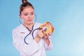 Dietitian examine sweet roll bun with stethoscope.