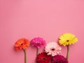 diferent colored gerbera flowers.