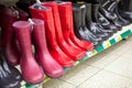 Diferent red and black waterboots are on shop shelves Royalty Free Stock Photo