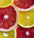 Diferent sliced citrus: orange and grapefruit