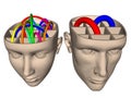 Difference between brain of woman and man - cartoo