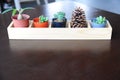 Difference cactus and pine cone in wooden tray on table