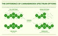 The Difference of Cannabinoids Spectrum Options horizontal infographic Royalty Free Stock Photo