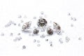 The elegant Jewelry and gems are elegantly Royalty Free Stock Photo