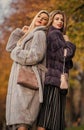 Difference between faux and real fur. Fall outfit. Beautiful ladies walking in warm clothes. Gorgeous girls. Beauty and