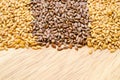 Difference of Golden linseeds and brown linseeds (flax seeds) Royalty Free Stock Photo