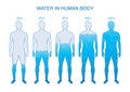 Difference percentage of water in the human body. Royalty Free Stock Photo