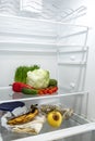 The difference between the produce shelf with fresh vegetables and the shelf with rotten packaged products in the refrigerator. Royalty Free Stock Photo