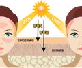 The difference of radiation 2 types in sunlight which is harmful to the skin. Infographic illustration of difference