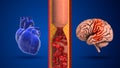 Difference between stroke and heart attack