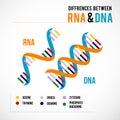 Differences between dna and rna vector scientific icon spiral of DNA and RNA