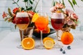 Different alcohol cocktail drinks with fruit flavors