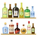 Different alcoholic drinks in bottles. Alcohol bottle drink whiskey and champagne, vodka and martini, brandy and rum Royalty Free Stock Photo