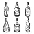 Different alcoholic drinks in bottles. Vector illustration in hand drawn style Royalty Free Stock Photo