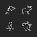 Different animal species chalk white icons set on black background