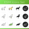 Different animal species icons set