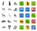 Different animals mono,flat icons in set collection for design. Bird, predator and herbivore vector symbol stock web Royalty Free Stock Photo