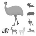 Different animals monochrome icons in set collection for design. Bird, predator and herbivore vector symbol stock web Royalty Free Stock Photo