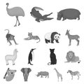 Different animals monochrome icons in set collection for design. Bird, predator and herbivore vector symbol stock web Royalty Free Stock Photo