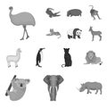 Different animals monochrome icons in set collection for design. Bird, predator and herbivore vector symbol stock web Royalty Free Stock Photo