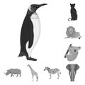 Different animals monochrome icons in set collection for design. Bird, predator and herbivore vector symbol stock web Royalty Free Stock Photo