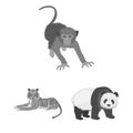 Different animals monochrome icons in set collection for design. Bird, predator and herbivore vector symbol stock web Royalty Free Stock Photo