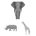 Different animals monochrome icons in set collection for design. Bird, predator and herbivore vector symbol stock web Royalty Free Stock Photo