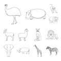 Different animals outline icons in set collection for design. Bird, predator and herbivore vector symbol stock web