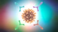 Different antibody proteins attack a virus particle