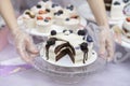 Different appetizing tartlets, cake basket with cream and delicious chocolate cake with cream and blackberries, fresh