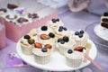 Different appetizing tartlets, cake basket with white cream and fresh multi-colored berries, Fresh summer dessert