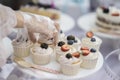 Different appetizing tartlets, cake basket with white cream and fresh multi-colored berries, summer dessert, hands of