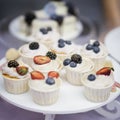 Different appetizing tartlets, cake basket with white cream and fresh multi-colored berries, summer dessert with