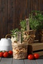 Different aromatic potted herbs, watering can and tomatoes on grey wooden table Royalty Free Stock Photo