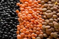 Different assorted lentils mix with red, brown and black beluga lentils macro