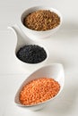 Different assorted lentils mix with red, brown and black beluga lentils in white bowls on white wooden table background Royalty Free Stock Photo