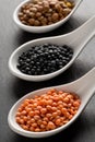 Different assorted lentils mix with red, brown and black beluga lentils in white spoons on dark stone background