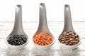 Different assorted lentils mix with red, brown and black beluga lentils in white spoons on white wooden table background