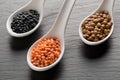 Different assorted lentils mix with red, brown and black beluga lentils in white spoons on dark stone background