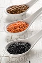 Different assorted lentils mix with red, brown and black beluga lentils in white spoons on white wooden table background