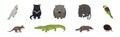 Different Australian Animals with Cockatoo, Tasmanian Devil, Wombat, Crocodile, Platypus and Echidna Vector Set