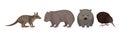 Different Australian Animals with Wombat, Bandicoot and Echidna Vector Set