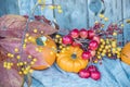 Different autumn fruits and berries. Bright orange mini pumpkins and knitted sweater. Calm autumn still life in the autumn garden. Royalty Free Stock Photo