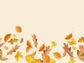 Different Autumn leaves blowing through the sky, autumn concept backgrounds, room for text, copy space, online, sale, retail, post