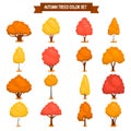 Different Autumn trees color flat icons set