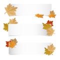 Different Autumn Web Banner With Colorful Leafes Royalty Free Stock Photo