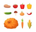 Different autumnal vegetables semi flat RGB color vector illustration set Royalty Free Stock Photo
